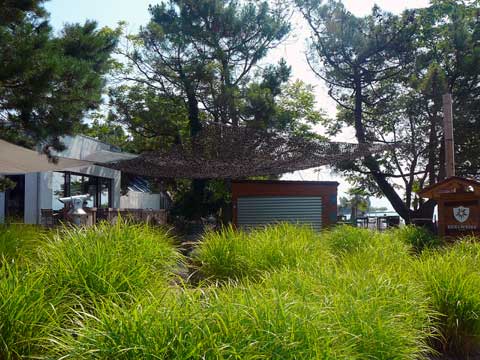 Restaurant Edelweiss Café, Lausanne